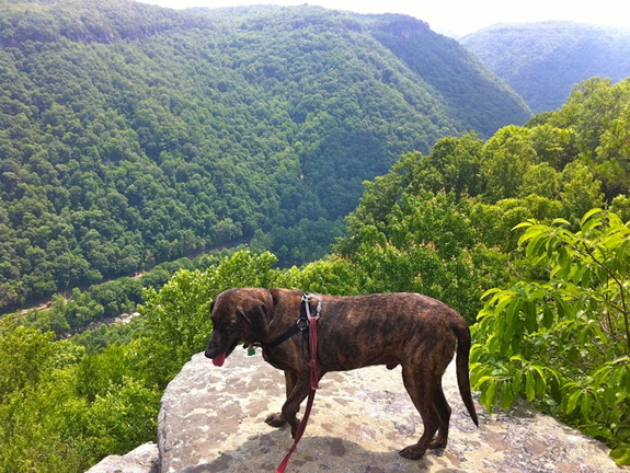 Pixel above New River Gorge